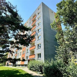 Prodej bytu 2+1 58 m² Boskovice, Komenského