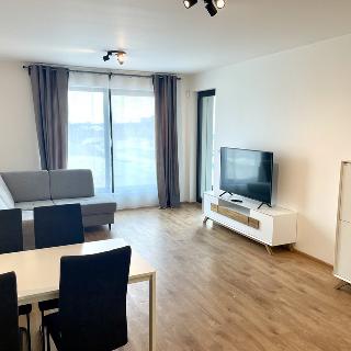 Pronájem bytu 2+kk 69 m² Praha, Basilejské náměstí