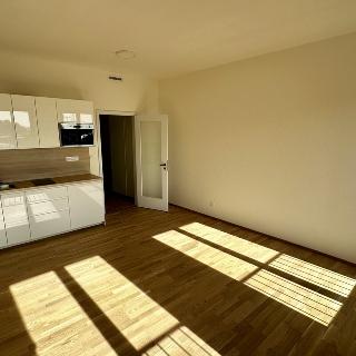 Pronájem bytu 1+kk a garsoniéry 27 m² Praha, Vackové