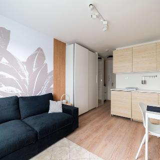 Prodej bytu 1+kk a garsoniéry 22 m² Praha, Bajkalská