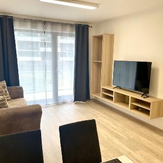 Pronájem bytu 2+kk 69 m² Praha, Basilejské náměstí