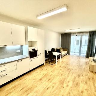 Pronájem bytu 2+kk 56 m² Praha, Jana Želivského