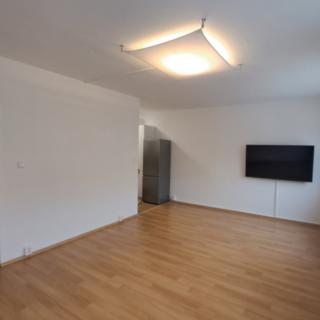 Prodej bytu 1+kk a garsoniéry 33 m² Praha, V zahrádkách