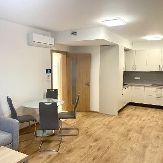 Pronájem bytu 2+kk 61 m² Praha, Basilejské náměstí