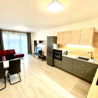 Pronájem bytu 3+kk 72 m² Praha, Malešická