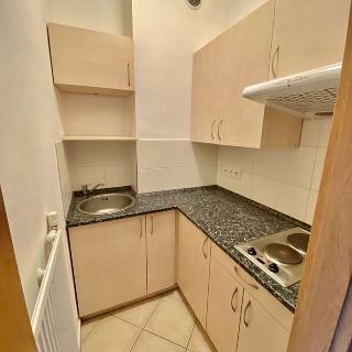 Pronájem bytu 1+kk a garsoniéry 29 m² Plzeň, Kardinála Berana