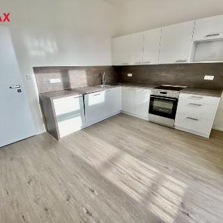 Pronájem bytu 2+1 70 m² Plzeň, Zikmunda Wintra