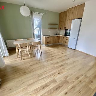 Pronájem bytu 2+kk 65 m² Plzeň, Na Terasách