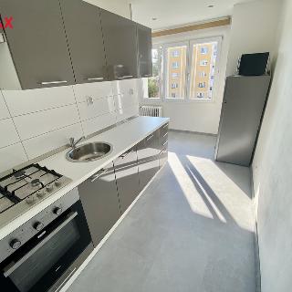 Pronájem bytu 1+1 42 m² Plzeň, Smrková