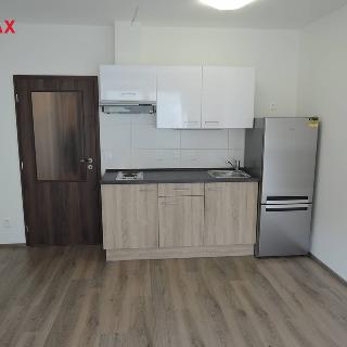 Pronájem bytu 1+kk a garsoniéry 25 m² Plzeň, Slovanská