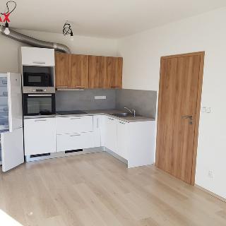 Pronájem bytu 2+kk 40 m² Jince, Zborovská