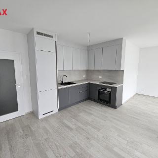 Pronájem bytu 2+kk 57 m² Praha, Karla Guta