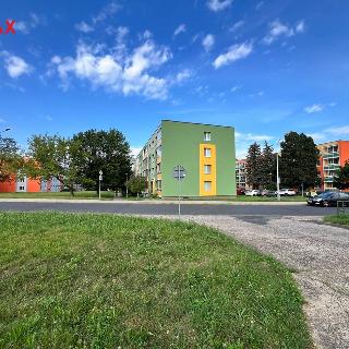 Prodej bytu 2+1 64 m² Bílina, Sídliště Za Chlumem