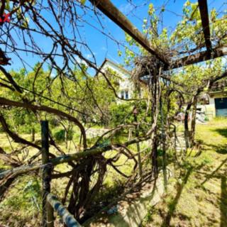 Prodej chaty 60 m² Postoloprty