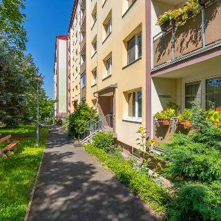 Pronájem bytu 3+1 79 m² Teplice, Pod Doubravkou