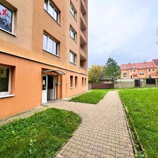 Pronájem bytu 2+1 54 m² Bílina, Sídliště U Nového nádraží