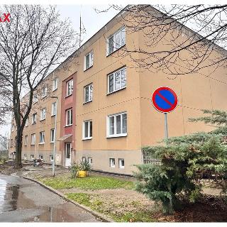 Pronájem bytu 2+1 61 m² Bílina, M. Švabinského