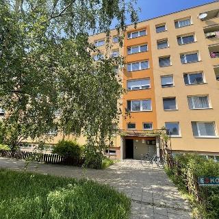 Prodej bytu 2+1 46 m² Břeclav, Na Valtické