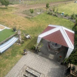 Prodej zahrady 2 031 m² Lednice