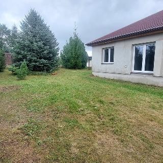 Pronájem rodinného domu 60 m² Přepeře