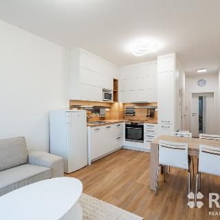 Pronájem bytu 3+kk 71 m² Zbýšov, čtvrť Padělky