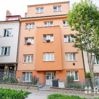 Pronájem bytu 2+1 48 m² Brno, Sýpka