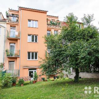 Pronájem bytu 2+1 48 m² Brno, Sýpka