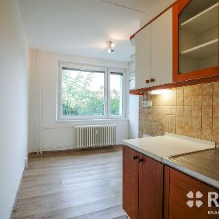 Pronájem bytu 1+1 38 m² Brno, Wollmanova