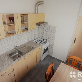 Pronájem bytu 2+1 53 m² Brno, Družstevní