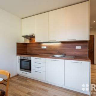 Pronájem bytu 2+1 56 m² Brno