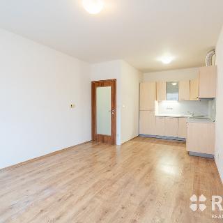 Pronájem bytu 2+kk 46 m² Brno