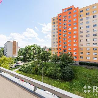 Prodej bytu 3+1 80 m² Brno, Rerychova