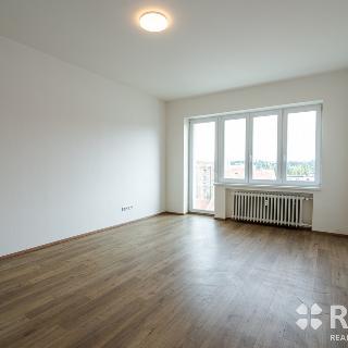 Pronájem bytu 2+1 55 m² Brno, Štefánikova