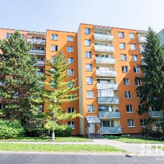 Prodej bytu 3+1 73 m² Brno, Krymská