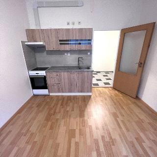 Pronájem bytu 1+kk a garsoniéry 30 m² Brno, Bayerova