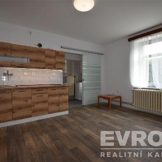 Pronájem bytu 1+kk a garsoniéry 24 m² Štipoklasy