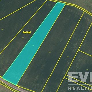Prodej ostatních pozemků 301 m&sup2; Mileč