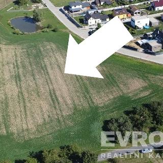 Prodej stavební parcely 6 490 m² Červené Pečky