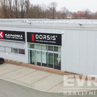 Pronájem ostatního komerčního prostoru 740 m² Kolín, Klejnarská