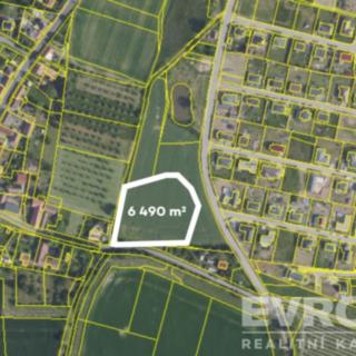 Prodej stavební parcely 6490 m&sup2; Červené Pečky
