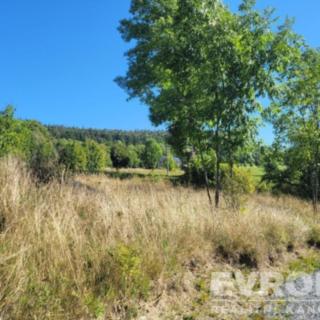 Prodej zahrady 725 m&sup2; Václavov u Bruntálu