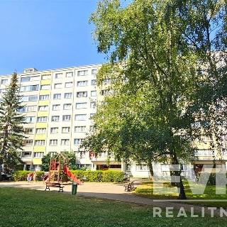 Prodej bytu 4+kk 75 m² Pardubice, Ohrazenická