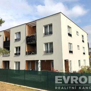 Pronájem bytu 1+kk, garsoniery 32 m² Plzeň