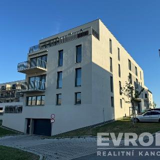 Pronájem bytu 1+kk a garsoniéry 30 m² Plzeň, Safírová