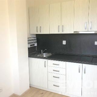 Pronájem bytu 1+kk a garsoniéry 33 m² Plzeň, Politických vězňů