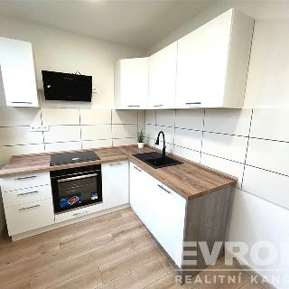 Prodej bytu 2+kk 49 m² Brnířov