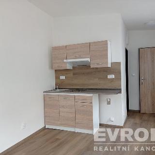 Pronájem bytu 1+kk a garsoniéry 18 m² Liberec, Široká