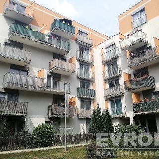 Pronájem bytu 1+kk a garsoniéry 34 m² Liberec, Hedvábná