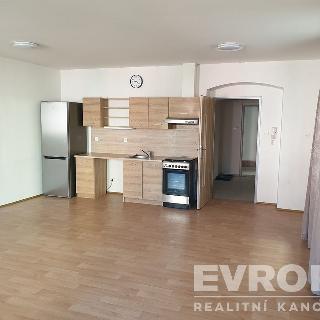 Pronájem bytu 1+kk a garsoniéry 39 m² Liberec