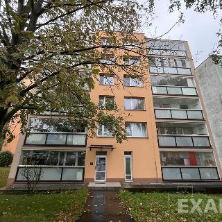 Pronájem bytu 2+kk 42 m² Praha, Ouholická